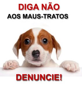 Denuncie maus-tratos contra animais