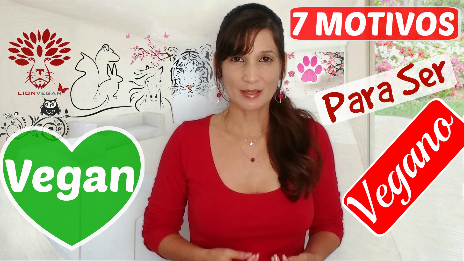 VEGANISMO X CONSUMO DE CARNE 7 Argumentos a favor do Veganismo