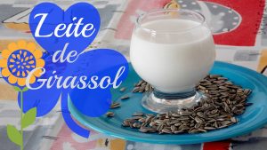 Receita de Leite de girassol