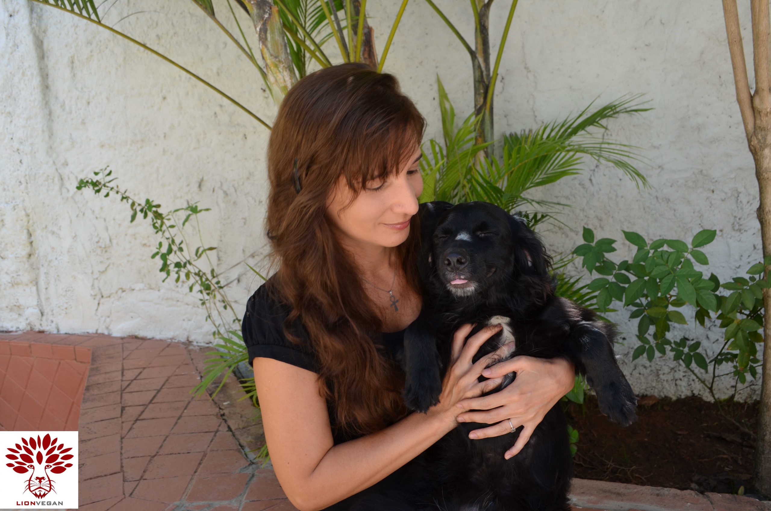 O Blog Katia Vegana aborda sobre Veganismo e Direitos dos Animais