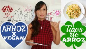 Conheça os Diferentes TIPOS DE ARROZ Saiba Como Preparar e Benefícios