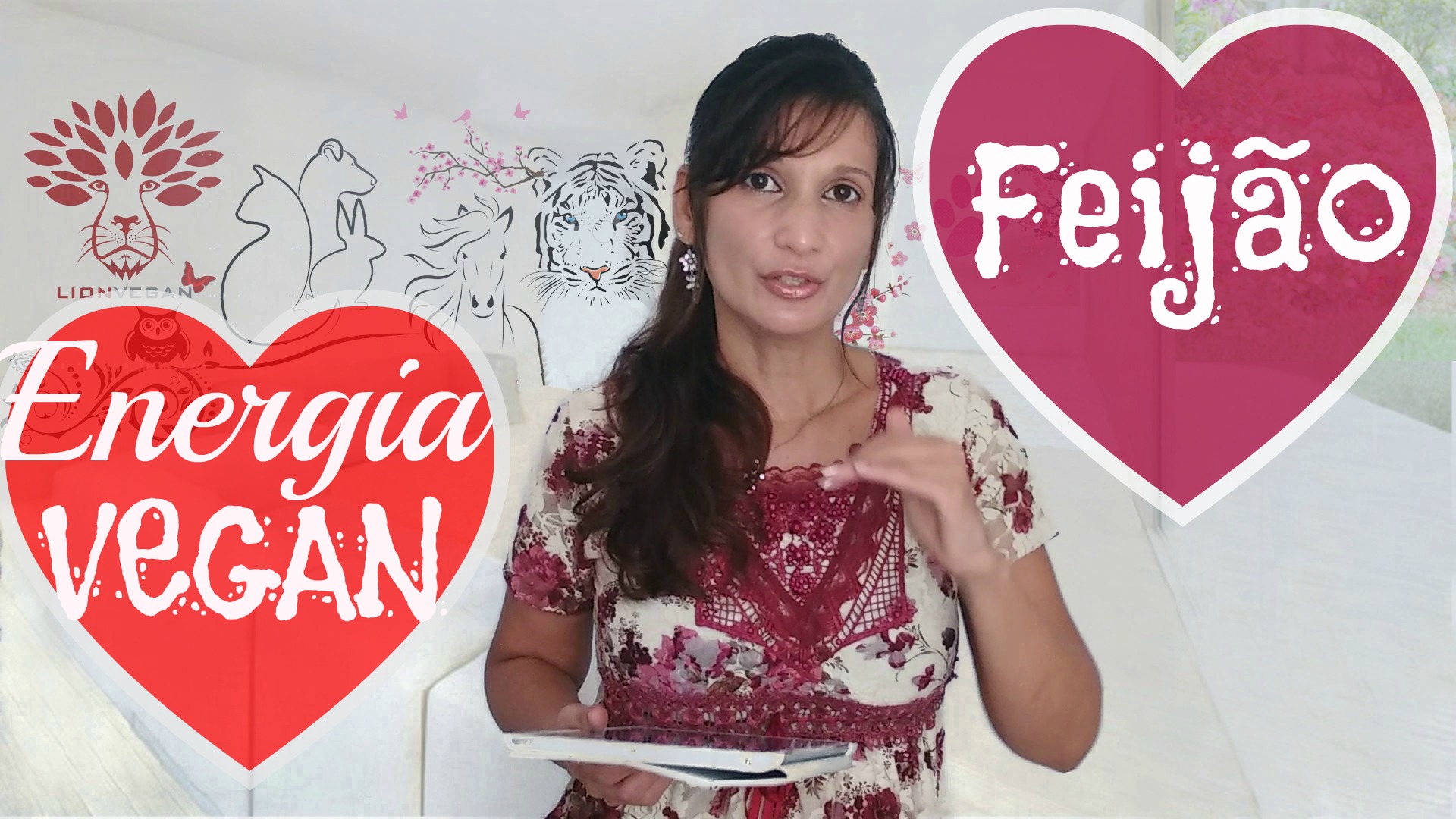 Conheça os Diferentes Tipos de Feijão e Beneficios Para Enriquecer Sua Alimentação