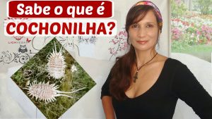 VOCÊ SABE O QUE É COCHONILHA? SAIBA A VERDADE SOBRE O CORANTE VERMELHO CARMIM