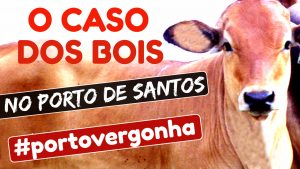 O CASO dos BOIS no PORTO de SANTOS