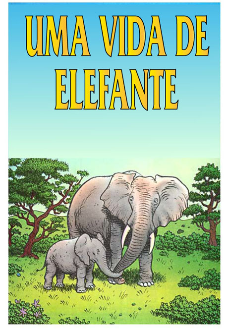 UMA VIDA DE ELEFANTE