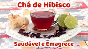 CHÁ DE HIBISCO SAUDÁVEL COMO PREPARAR PARA EMAGRECER E BENEFÍCIOS