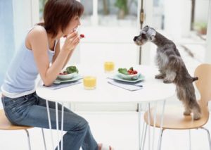 RAZÕES DE SAÚDE  PARA O VEGETARIANISMO