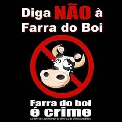 FARRA DO BOI É CRIME! Ajude a Combater a Prática a Farra do Boi