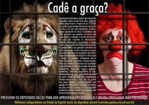 Circo legal não tem animal