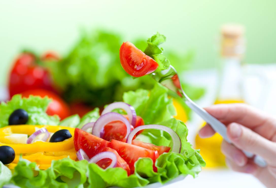 VIDEOS – ALIMENTOS CRUELTY FREE VEGAN