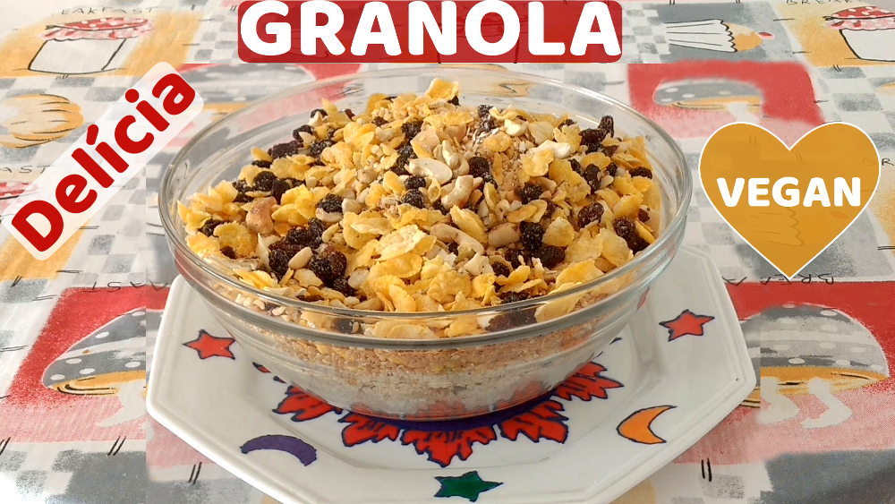 GRANOLA CASEIRA VEGANA