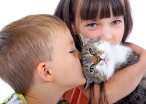 Não atire o pau no gato!