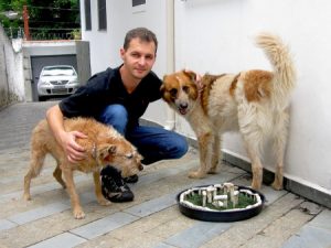 A Verdadeira Face da Experimentação Animal