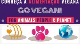 INFOGRÁFICO – Saiba Mais Sobre Alimentação Vegana
