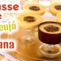 MOUSSE DE MARACUJÁ VEGANA CREMOSA COM LEITE CONDENSADO VEGANO PERFEITA FÁCIL SEM LACTOSE VEGAN KATIAVEGANA