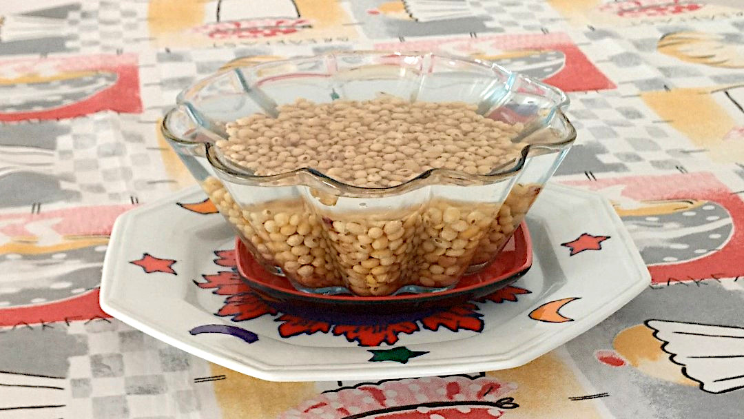 Almondegas de Soja de Molho KatiaVegana