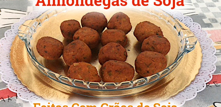 Como Fazer ALMÔNDEGAS de SOJA Deliciosas Com os GRÃOS de SOJA