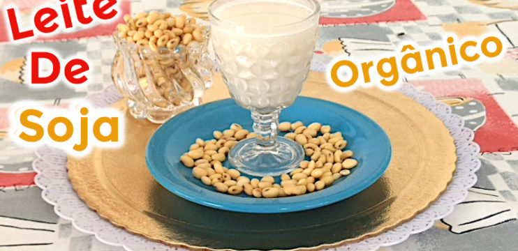 Leite de Soja Orgânico Caseiro