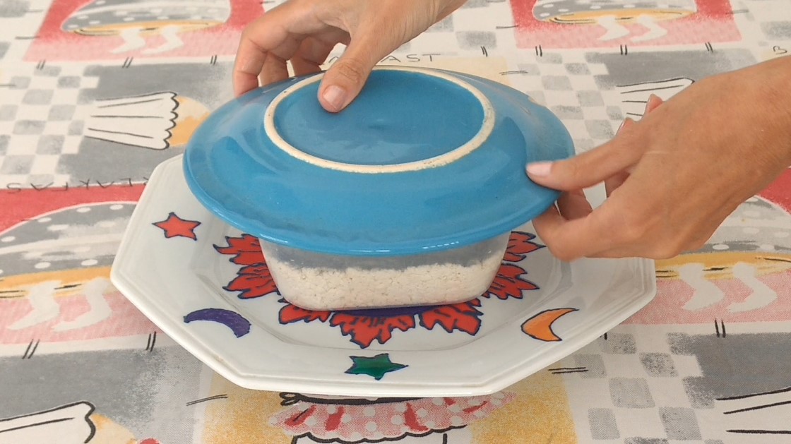 TOFU DESENFORMANDO KATIAVEGANA 1