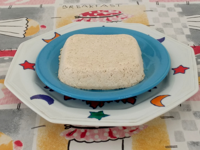 TOFU NO PRATO KATIAVEGANA BRILHO (1)
