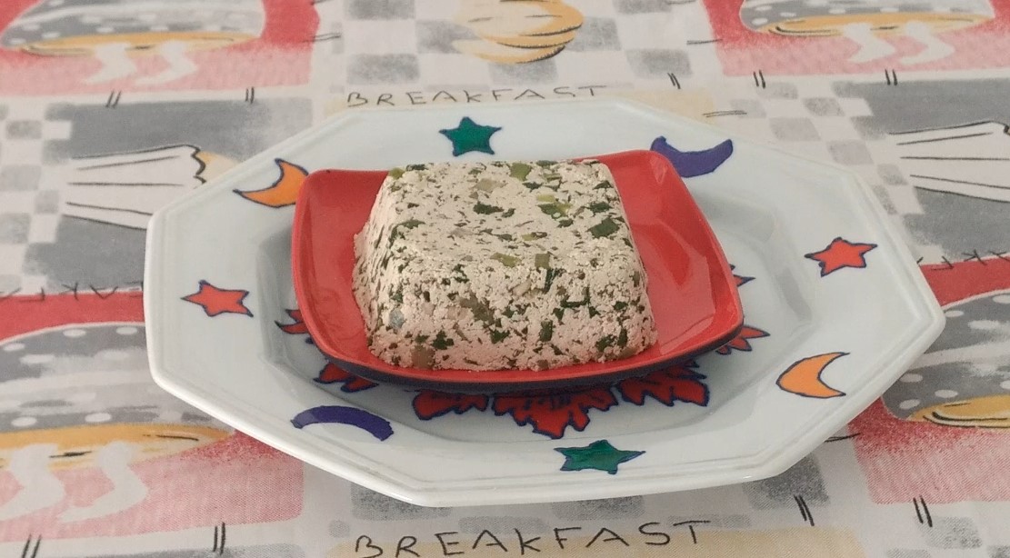 TOFU SALSA CEBOLINHA KATIAVEGANA