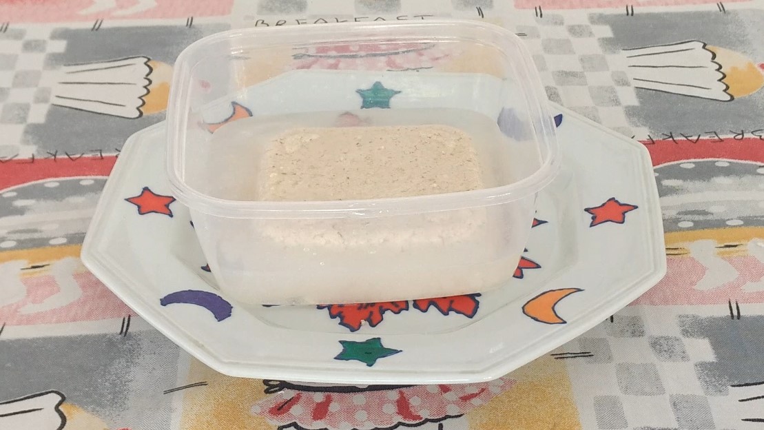 TOFU VASILHA COM AGUA 2 KATIAVEGANA