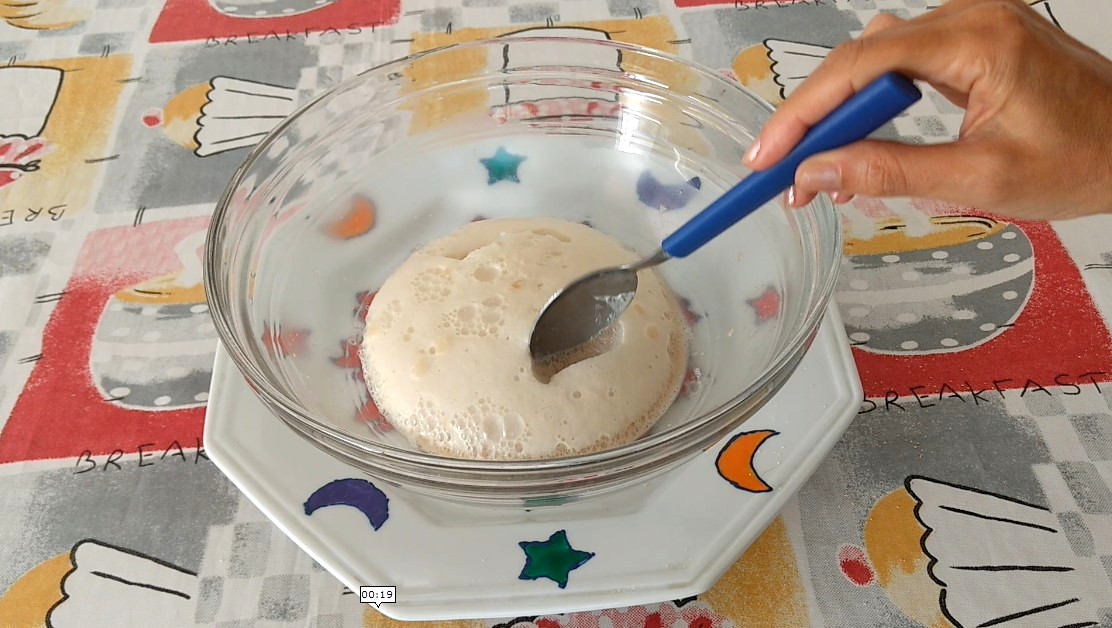 Pizza Vegana Fermento Fermentado Brilho KatiaVegana