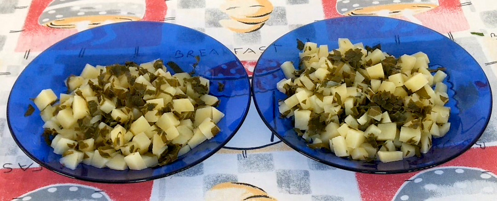 SOPA DE COUVE E BATATA BRILHO PRATOS KATIA VEGANA